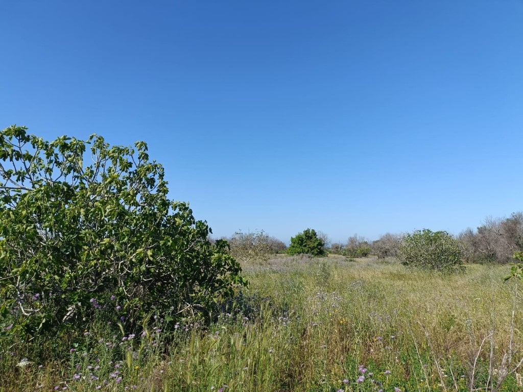 Giano Group Immobiliare